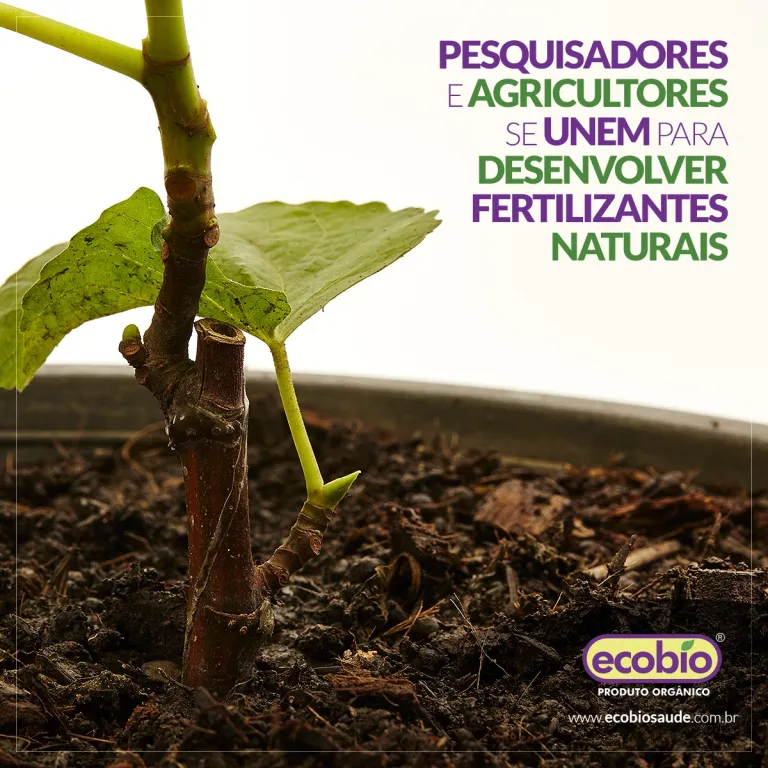 Pesquisadores e agricultores se unem para desenvolver fertilizantes naturais